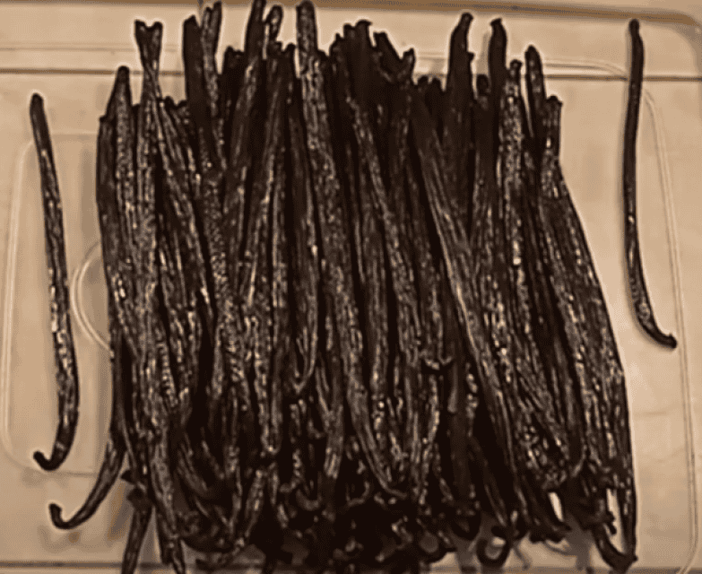 Indonesian Vanilla Beans – Gourmet Grade Planifolia Pods for Wholesale Supply