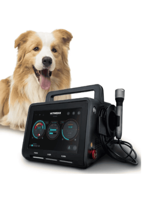 Veterinary Laser for Pain Management, Rehabilitation & Surgery – Multi-Wavelength Therapy