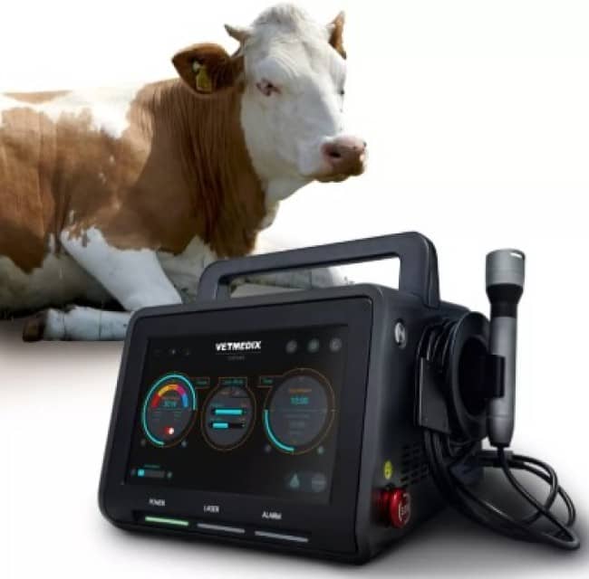 Veterinary Laser for Pain Management, Rehabilitation & Surgery – Multi-Wavelength Therapy