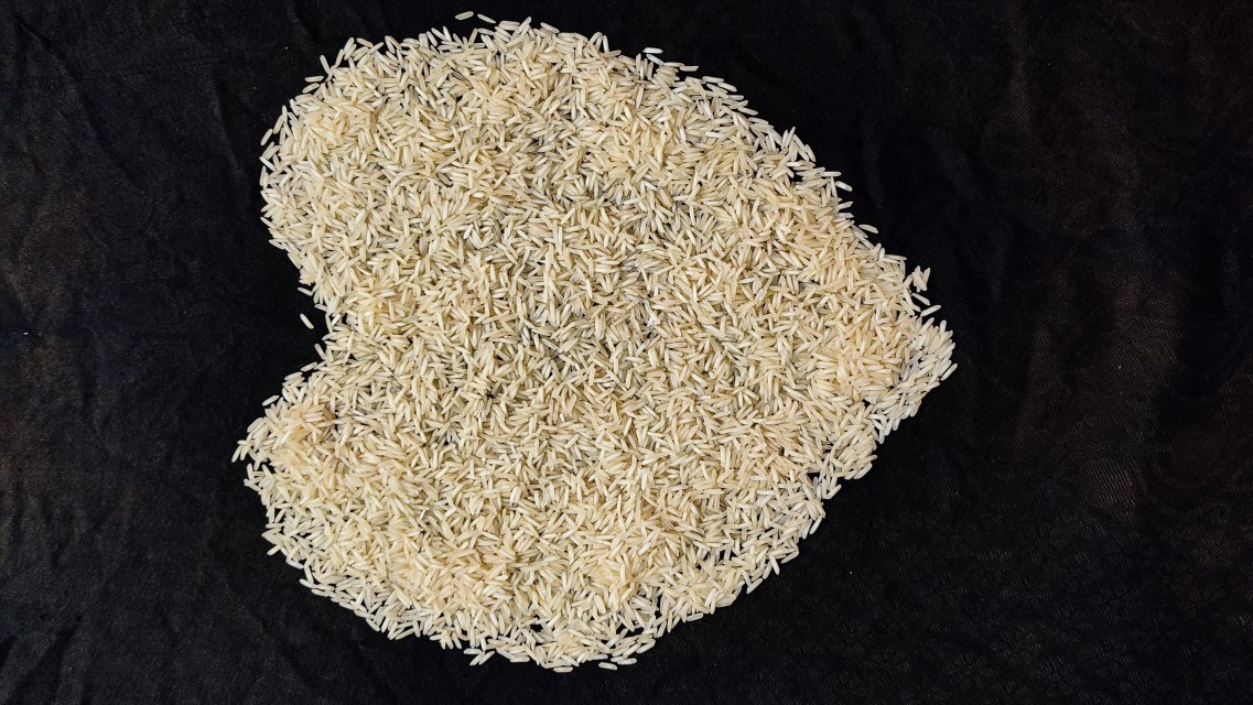 1121 Basmati Rice – Long Grain, Aromatic White & Gold Rice for Sale