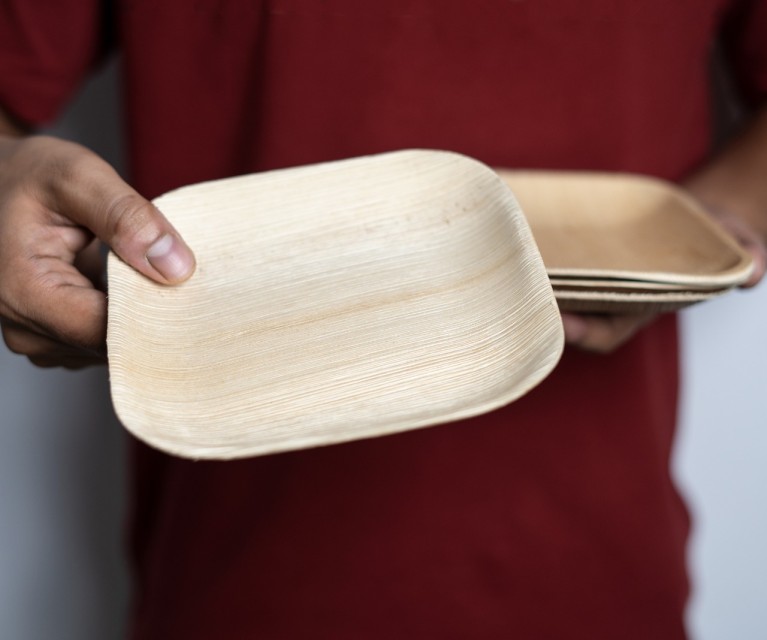 Eco-Friendly Compostable Plates - Sustainable, Biodegradable, Microwave-Safe Plates