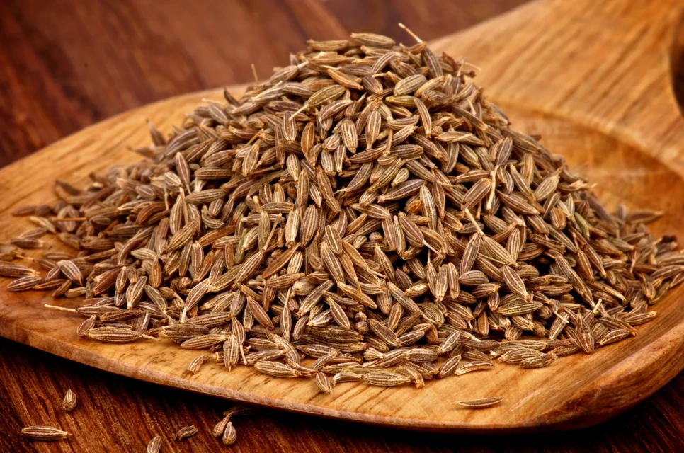 Natural Cumin Whole Supplier – Singapore-99 & Europe-99 Varieties