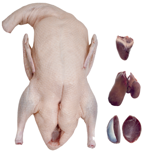 Halal Frozen Duck Cuts – Grade-A, Meat Supplier from Brazil