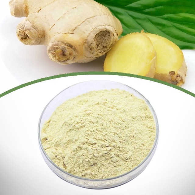 Ginger Extract - Pure Botanical Extract for Food and Pharmaceuticals