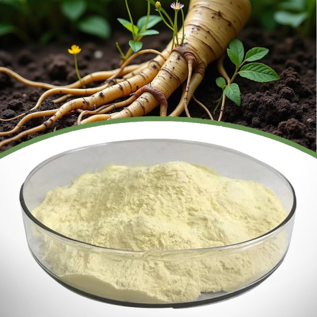 Panax Ginseng Extract – For Skin Health, Immunity, And Anti-aging