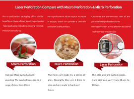 Laser Perforation System for Food Packaging - Perforation for Fresh Produce and MAP Packaging