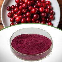 Cranberry Extract - Antioxidant, Anti-Inflammatory, Cardiovascular Support