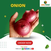 Red Onions from India - Wholesale Supplier A Grade Fresh Red Onions for Sale