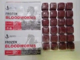 Frozen Bloodworms for Fish Feed – High-Protein, Fish Food