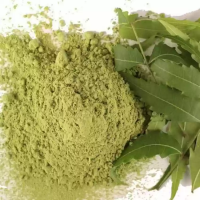 Neem Powder - Natural Antibacterial, Anti-inflammatory & Detoxifying Agent for Skin, Hair & Agriculture