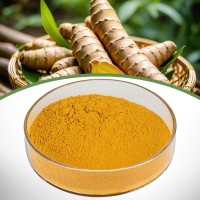 Turmeric Extract Powder for Food, Health & Cosmetics