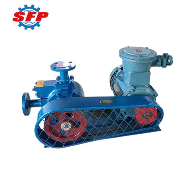 Portable LPG Gas Transfer Filling Pump - Customizable Vane Pump for Cylinder Filling