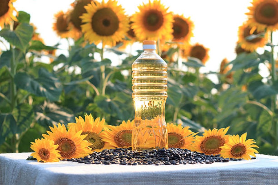 100% Pure Refined Sunflower Oil – Cooking Oil, Bulk Supply