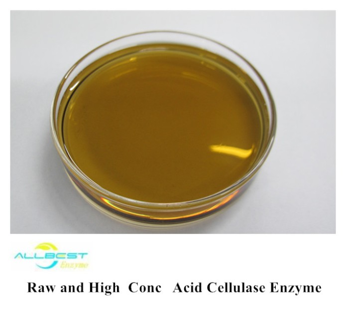 Acid Cellulase Liquid Enzyme for Bio-Polishing and Enzyme Washing – High Concentration