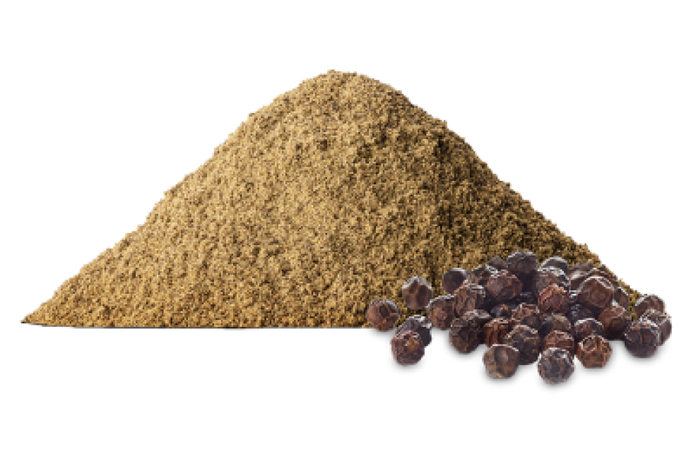 Black Pepper Extracts - Manufacturer & Supplier from India, Biowearth