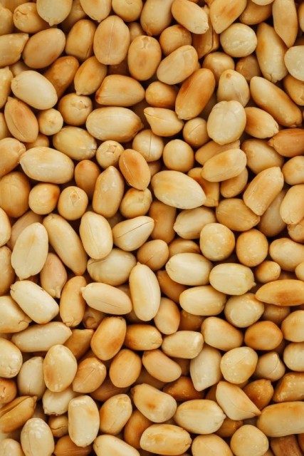 Blanched Peanuts Supplier from India for Peanut Butter, Baking & Oil Production