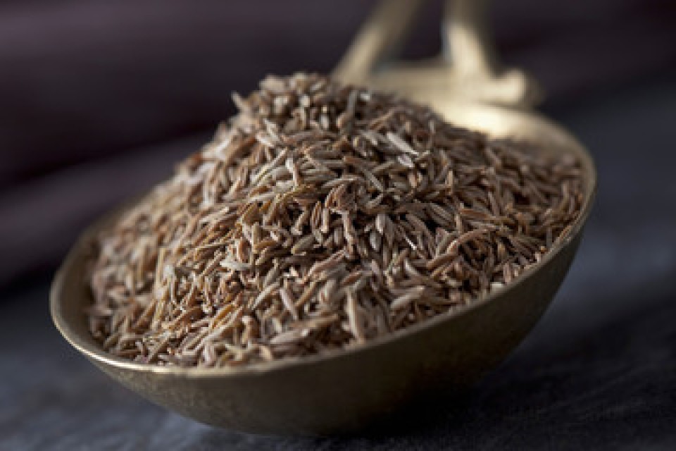 Indian Cumin Seeds Supplier for Culinary Use - Best Price on Bulk Orders