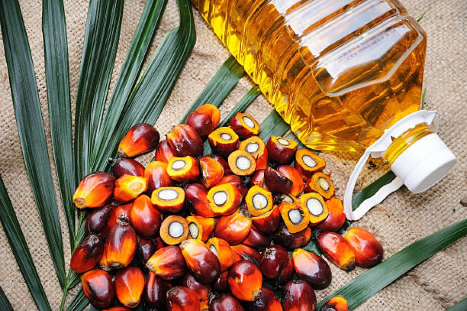 RBD Palm Oil Pure Vegetable Refine Supplier – Wholesale Palm Olein Oil for Sale