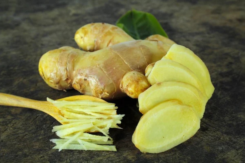 Fresh Ginger – Light Brown Skin, Spicy Aroma, Supplier from India