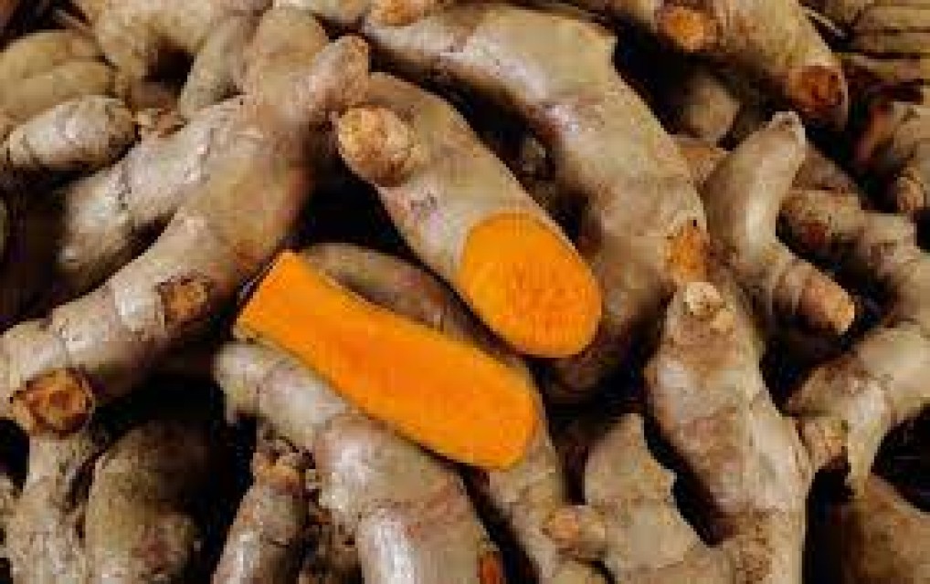 Fresh Turmeric from India - Anti-inflammatory & Antioxidant Benefits