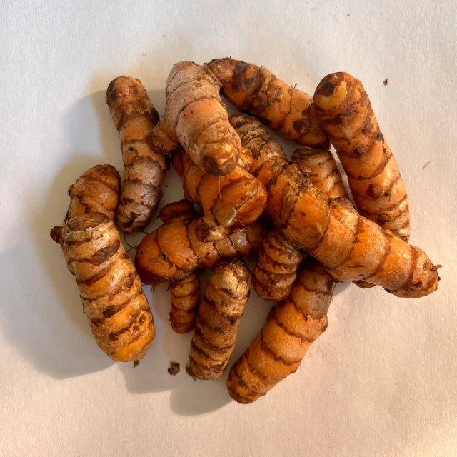 Fresh Turmeric from India - Anti-inflammatory & Antioxidant Benefits