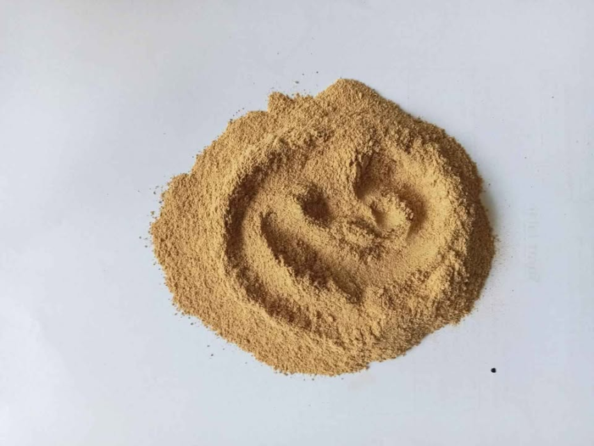 Organic Freeze-Dried Ginger Powder - Natural Spice for Cooking & Health Benefits