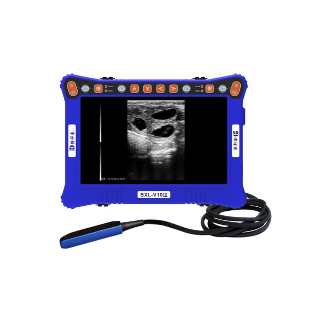 Portable Veterinary Ultrasound V10Ⅲ for Animals - Affordable Veterinary Ultrasound Machine