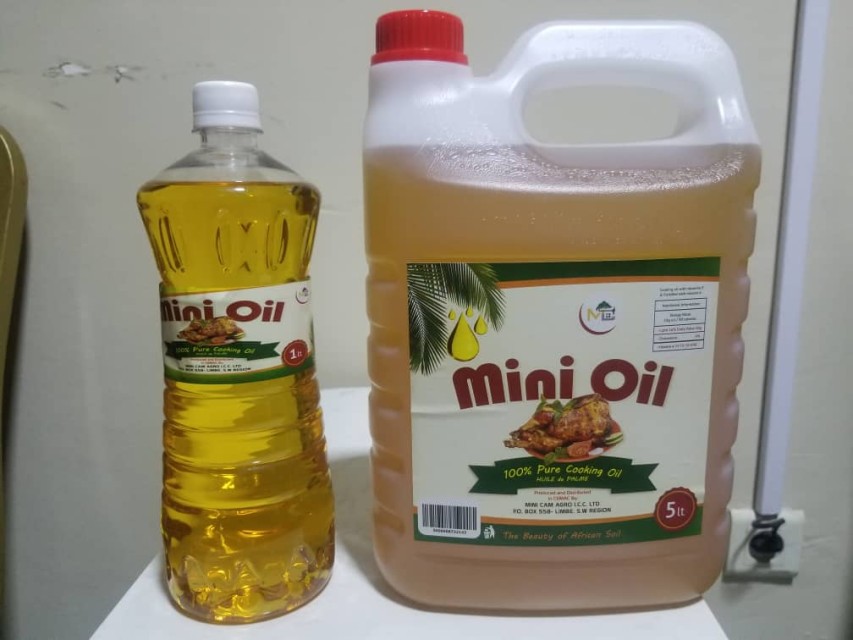 RBD Palm Olein CP10 - Cooking Oil for Frying, Best Price from Supplier in Cameroon