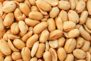 Blanched Peanuts Supplier from India for Peanut Butter, Baking & Oil Production