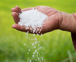 Nitrogen Fertilizer Granular Urea 46% Supplier from Germany - Competitive Wholesale Price