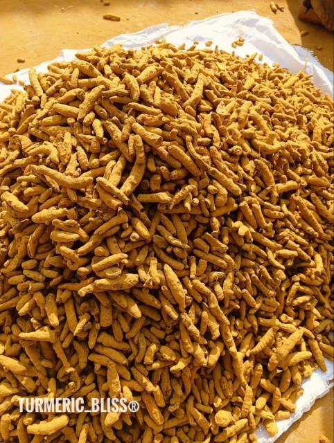 Rajapuri Turmeric Powder Wholesale Supplier - High Curcumin Content