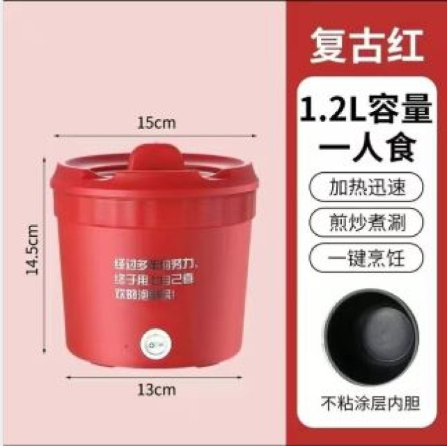 1L Mini Electric Pasta Cooker – 450W Fast Heating, Wholesale Supplier from China