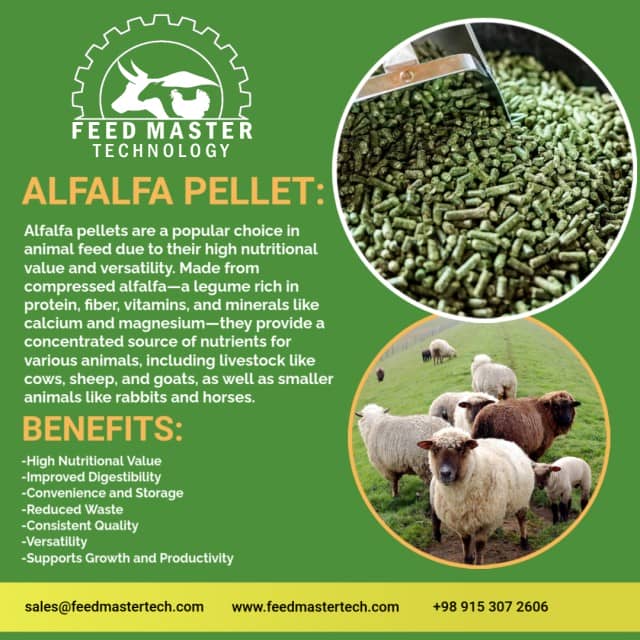 Alfalfa Pellets – High-Protein Animal Feed, Bulk Supplier & Exporter