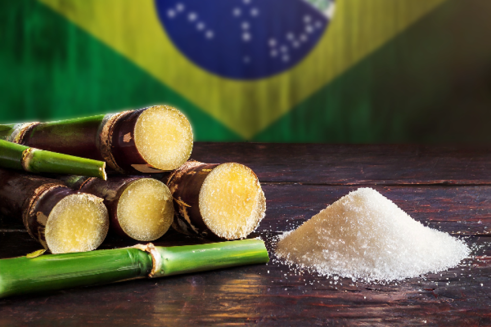 Brazilian Refined Sugar from Wholesaler– Bulk Orders at Competitive Prices