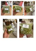 Cardamom 5mm to 8.5mm Wholesaler from India – Bulk Orders Available