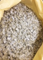 Deep Sea Fish Scales for Collagen & Gelatin Production – Wholesaler from India
