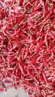 Dehydrated Chilli – Wholesaler& Exporter from India, Best Price & Bulk Order