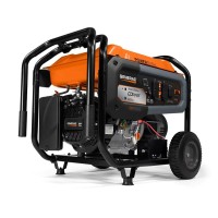 Generac Portable Generator 10000 Surge Watts, 8000 Rated Watts - Wholesaler from Indonesia