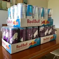 Redbull Classic 250ml Energy Drink Wholesale Supplier, Best Price from Denmark