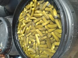 Pickled Gherkins from India - Bulk Gherkin Cucumber Supplier & Exporter