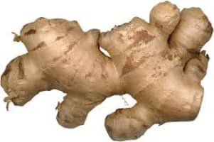 Fresh Ginger Wholesale from India - Premium Quality Ginger at Best Price