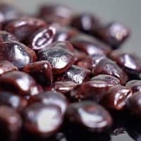 Tamarind Products – Tamarind Seeds, Fruits, and Pulp from Thailand