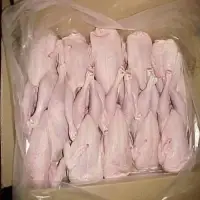 Halal Frozen Whole Chicken Supplier - Grade A Quality from Denmark for Wholesale