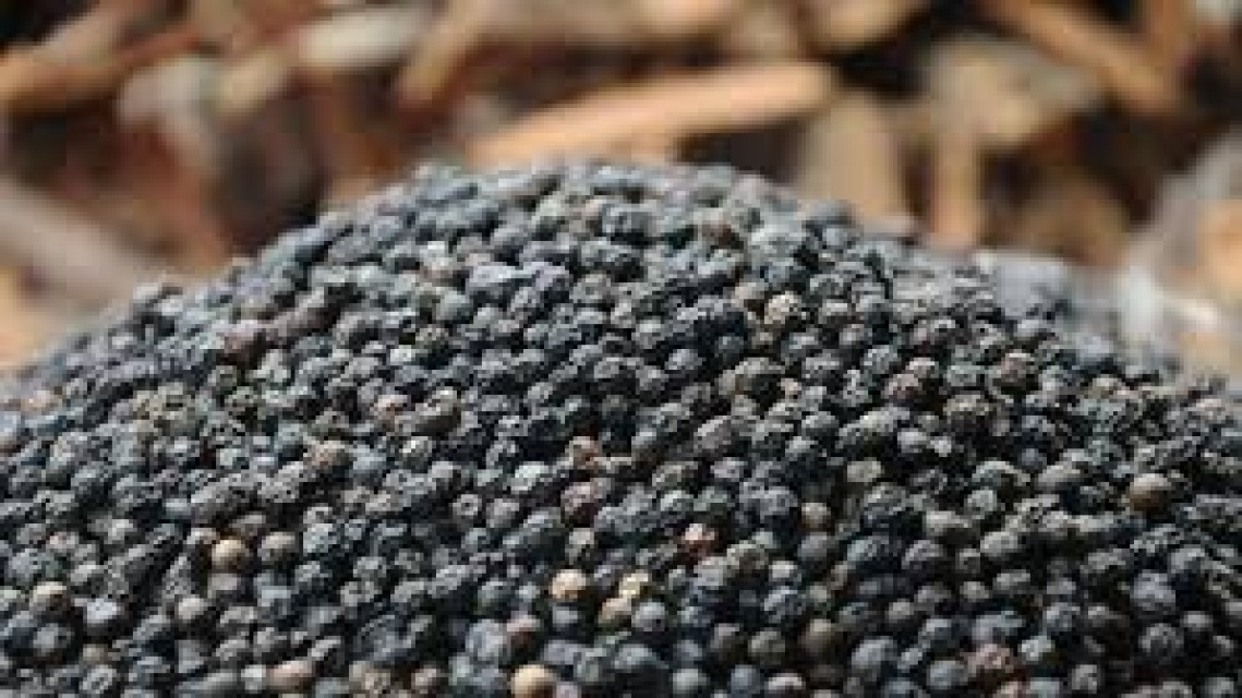 Sri Lankan Black Pepper – Top-Grade, Aromatic & Ideal for Export