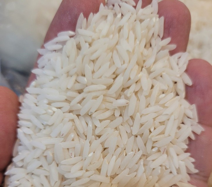 PREMIUM IRANIAN RICE – Exquisite Taste from Fertile Fields