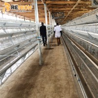 10000 Laying Hens A Type Manual Chicken Cage - High-Quality Poultry Farming Equipment