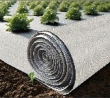 Agricultural Mulch Fabric for Weed Control & Soil Health - Wholesaler from Taiwan