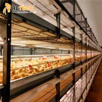Modern Automatic Feeding H Type Broiler Poultry Cage Equipment For Poultry Farming