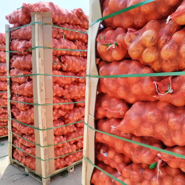Premium Red Onions Supplier from India