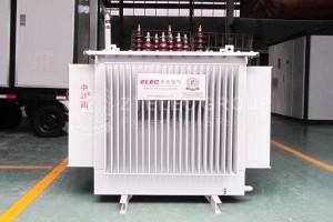 8MVA 20/0.4kV Oil Immersed Transformer Dyn11/Yyn0 for Industrial Use